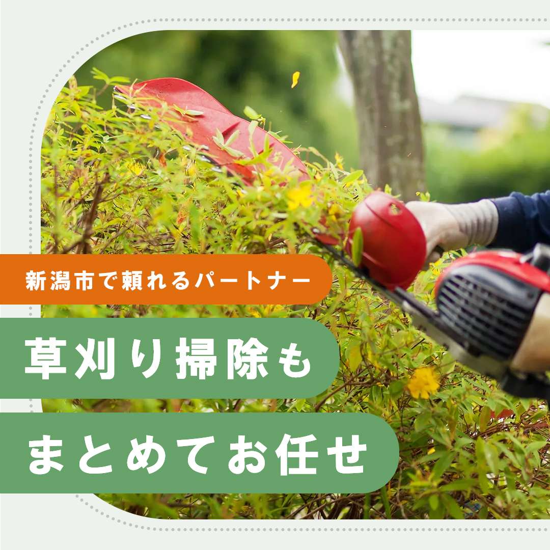 popup_banner