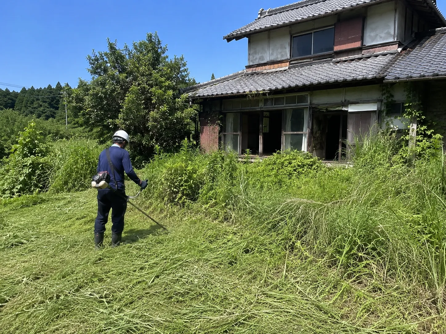 新潟市で空き家の草刈りが必要な時期は?季節別の管理ポイント
